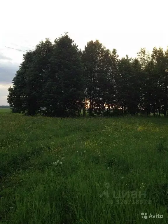 Дом в Тверская область, Калининский муниципальный округ, д. Красная ... - Фото 2