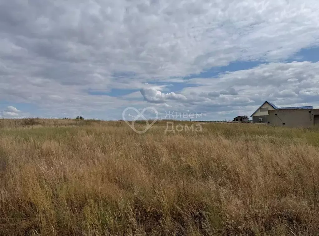 Участок в Волгоградская область, Среднеахтубинский район, ... - Фото 1