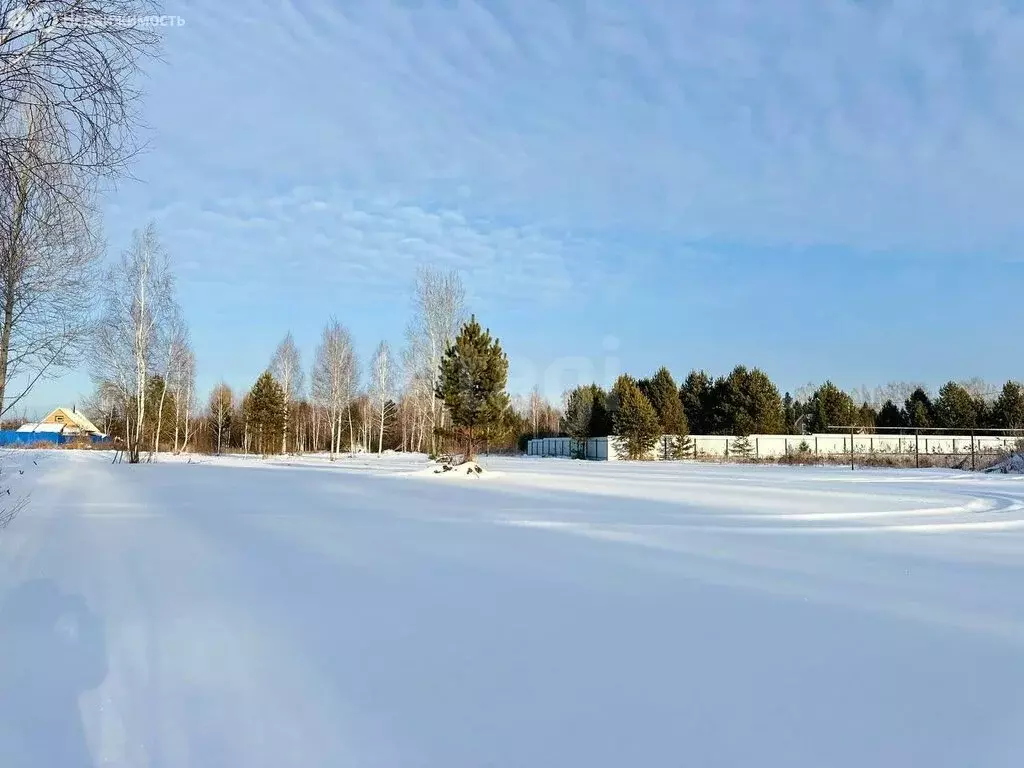 Участок в Тюменский район, деревня Головина (8 м) - Фото 0