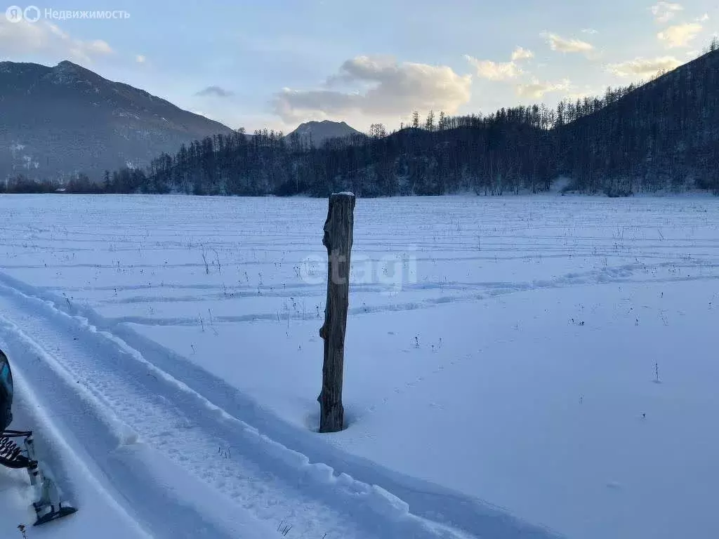 Участок в Усть-Коксинский район, село Тихонькая (680.7 м) - Фото 1