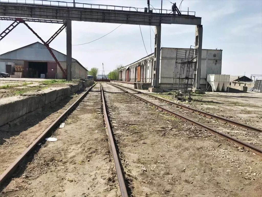 Производственное помещение в Саратовская область, пос. Зоринский ул. ... - Фото 0