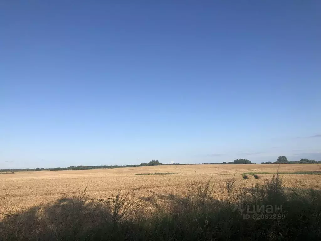 Участок в Калининградская область, Гурьевский муниципальный округ, ... - Фото 1