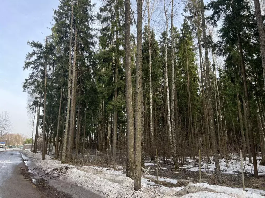 Участок в Московская область, Наро-Фоминский городской округ, д. ... - Фото 0