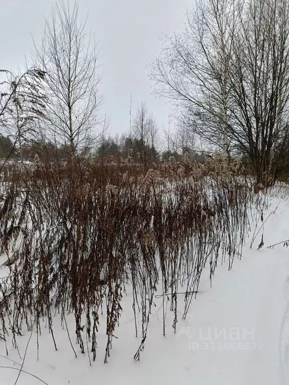 Участок в Московская область, Павлово-Посадский городской округ, д. ... - Фото 0