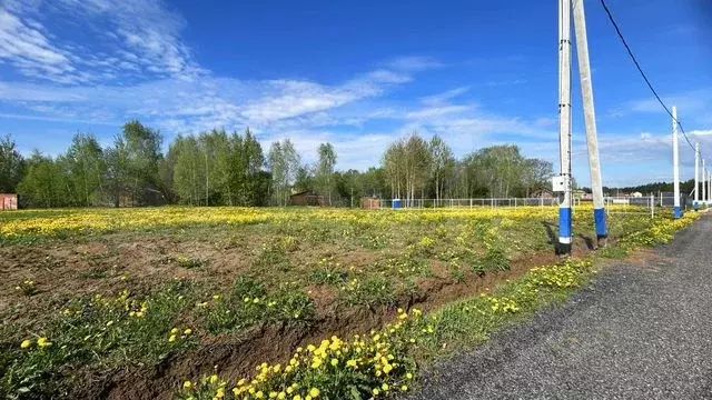 Участок 7 сот. (ИЖС) - Фото 0