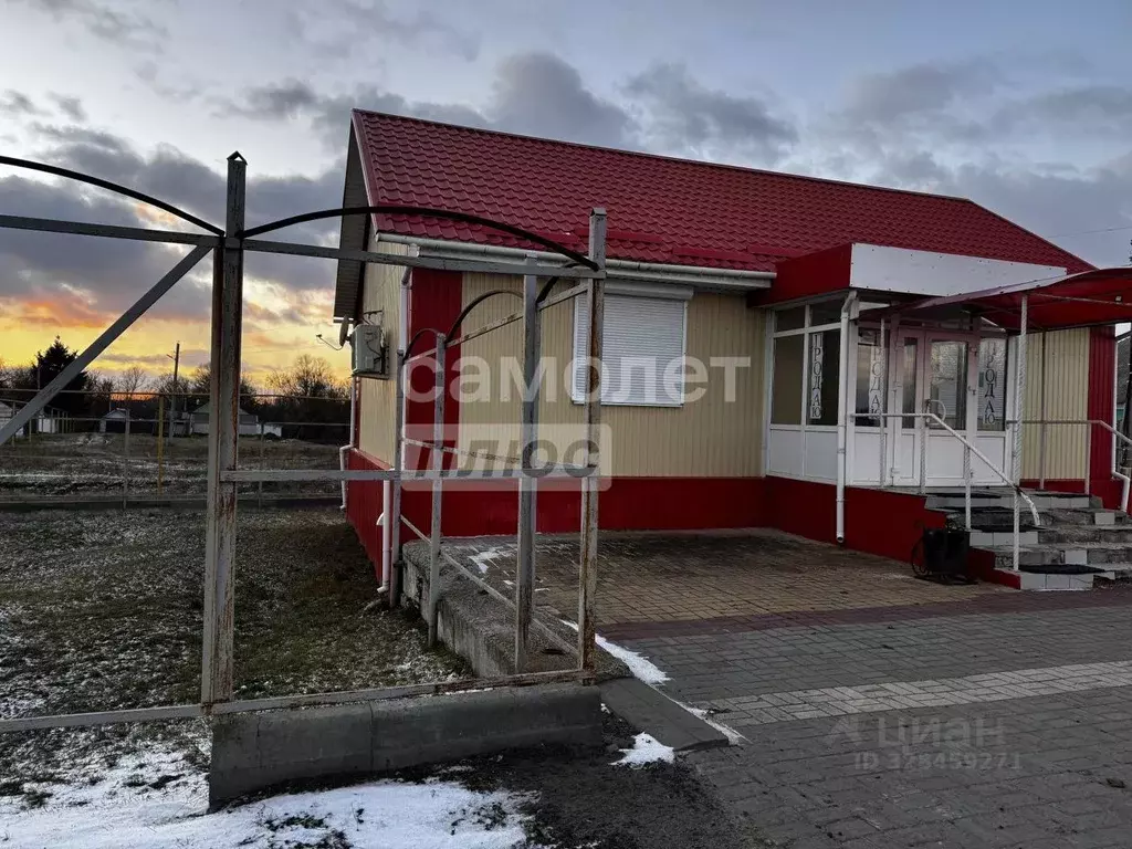 Дом в Воронежская область, Хохольское городское поселение, с. Хохол ... - Фото 1