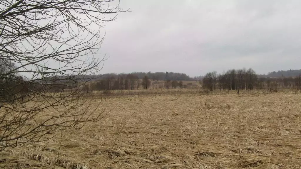 Участок в Московская область, Рузский муниципальный округ, д. ... - Фото 1