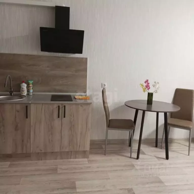 Студия Пермский край, д. Кондратово ул. Водопроводная, 4А (23.5 м) - Фото 1