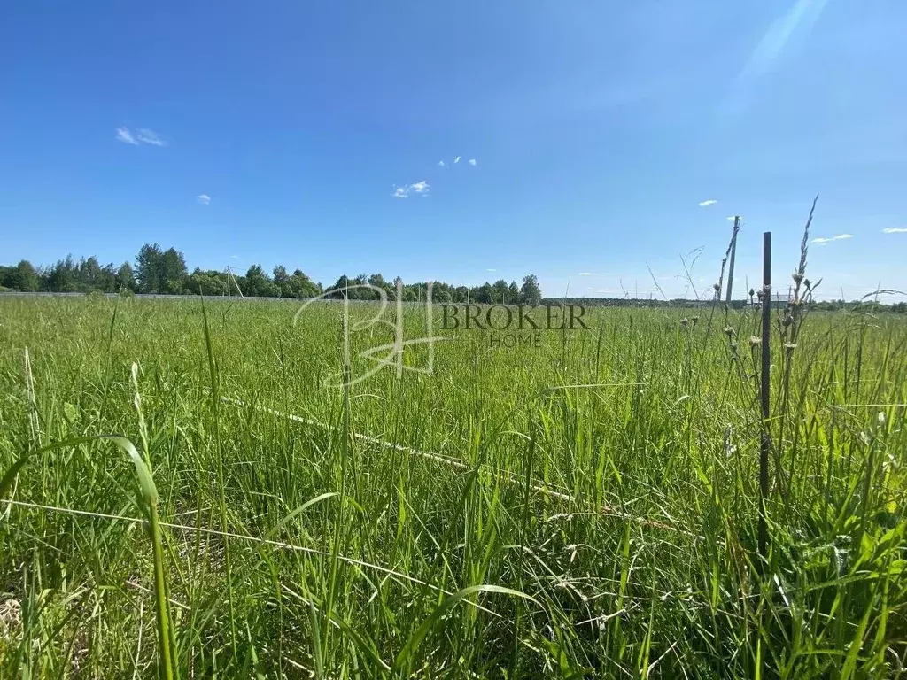 Купить Участок В Талдомском Село Новоникольское