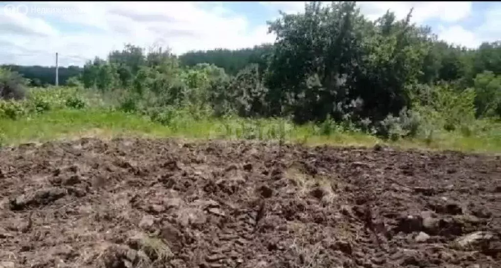 Участок в Хабаровск, садовое товарищество Урожай (7 м) - Фото 1