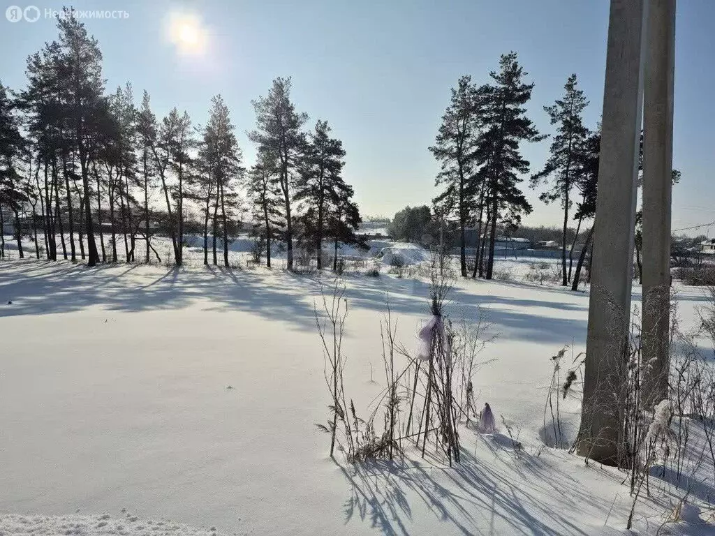 Участок в село Хвощеватка, Липовая аллея (1000 м) - Фото 2