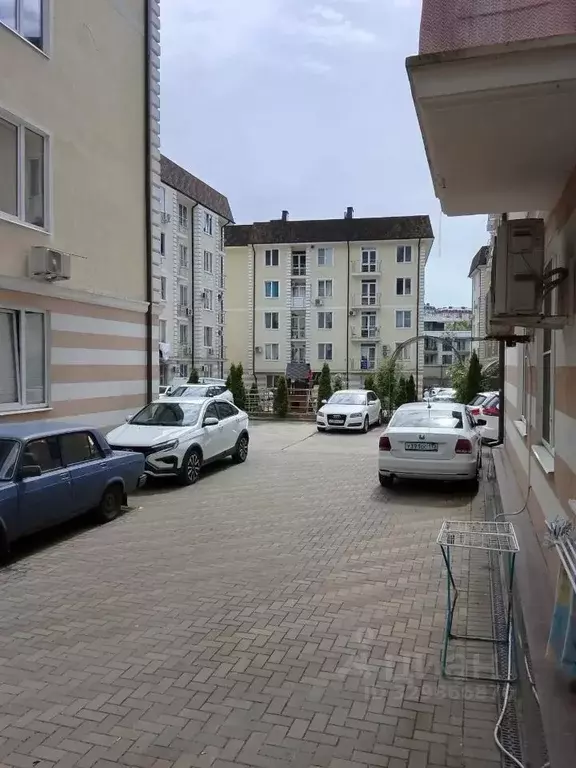 Студия Краснодарский край, Сочи ул. Яна Фабрициуса, 23лит1 (25.0 м) - Фото 1
