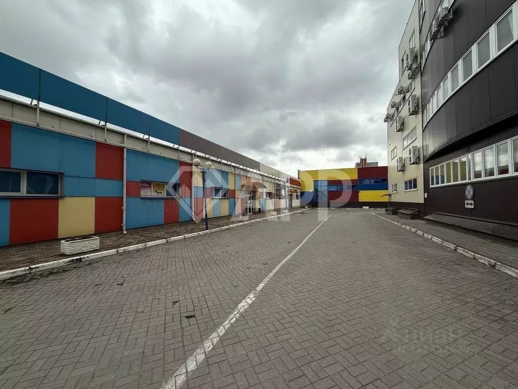 Помещение свободного назначения в Брянская область, Брянск ... - Фото 1