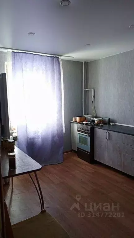 3-к кв. Нижегородская область, Перевозский муниципальный округ, с. ... - Фото 2