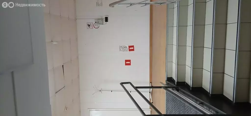 Помещение свободного назначения (530 м) - Фото 2
