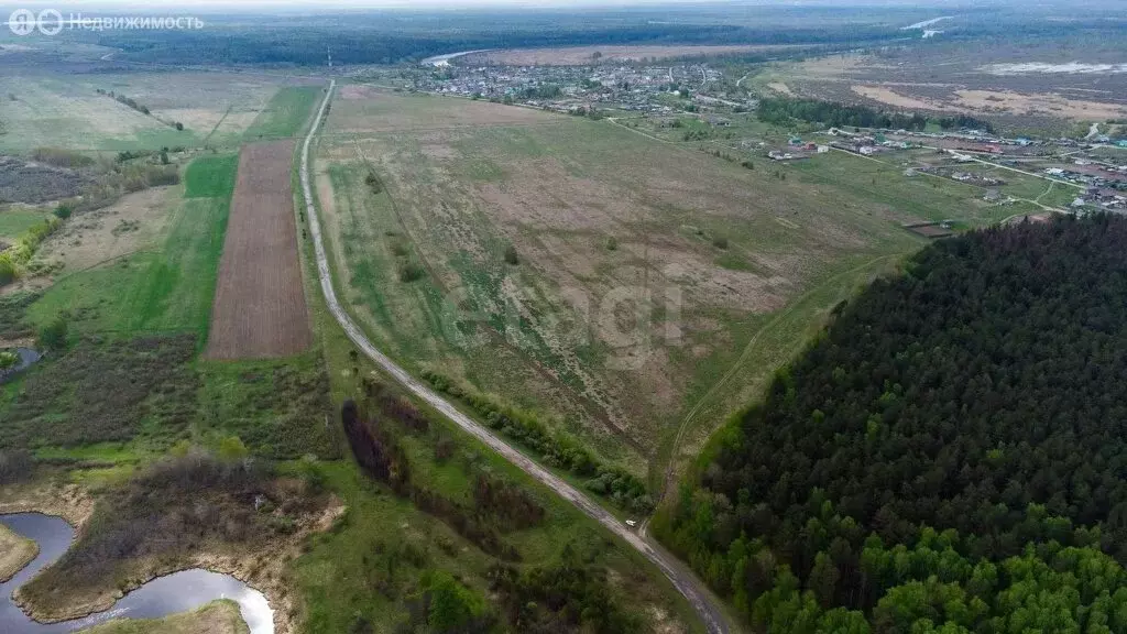 Участок в Тюменский муниципальный округ, село Салаирка (9.1 м) - Фото 2