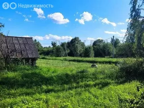 Дом в Костромской район, Шунгенское сельское поселение, деревня ... - Фото 0