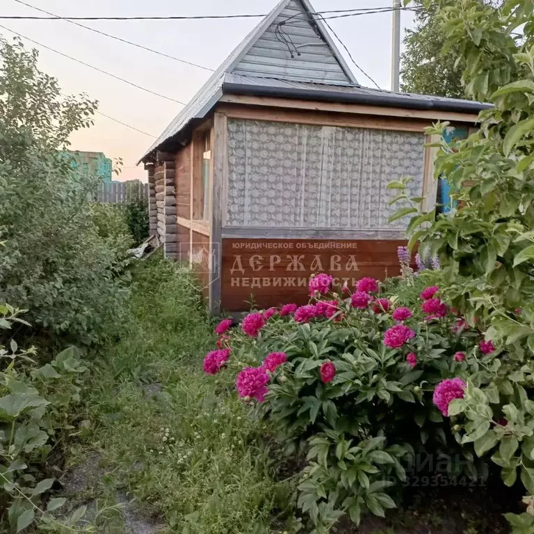 Дом в Кемеровская область, Кемерово Мичуринец СНТ, 239 (20 м) - Фото 2