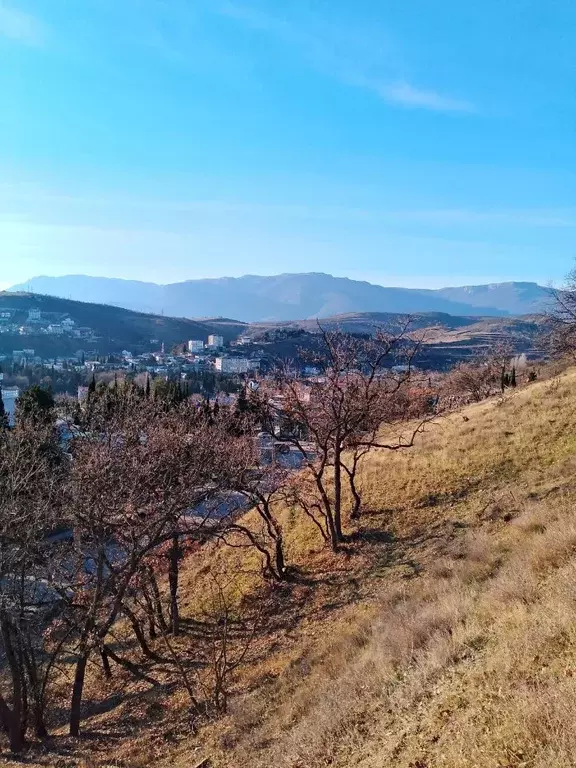 Участок в Крым, Алушта городской округ, с. Малореченское ул. ... - Фото 1