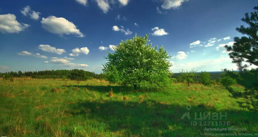 Участок в Воронежская область, Острогожский район, с. Нижний Ольшан ... - Фото 0