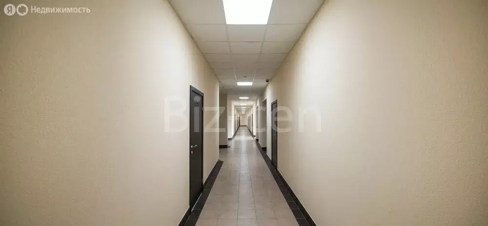 Офис (19 м) - Фото 2