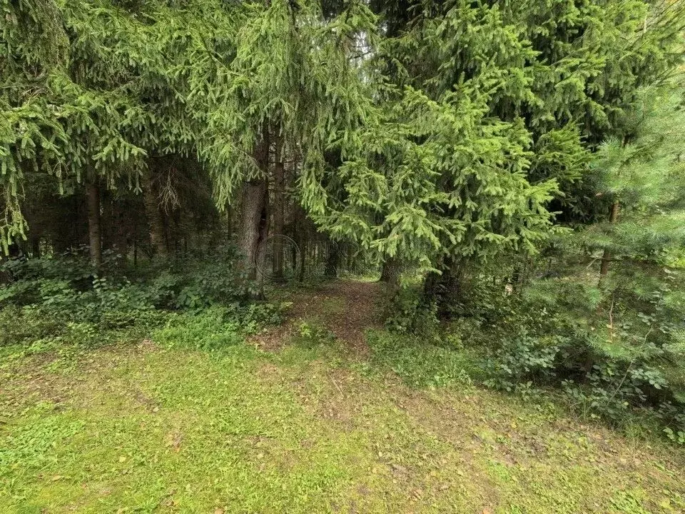 Участок в Московская область, Солнечногорск городской округ, д. ... - Фото 1