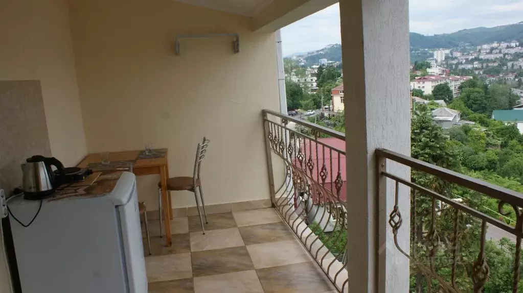 1-к кв. Краснодарский край, Сочи Виноградная ул., 130 (25.0 м) - Фото 2