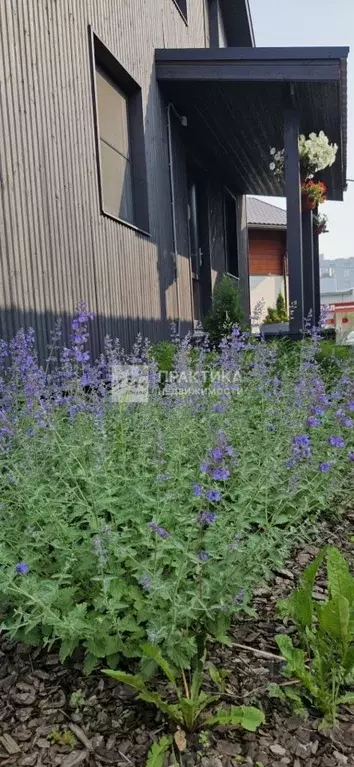 Дом в Московская область, Одинцово Трудовая ул., 23 (200 м) - Фото 2