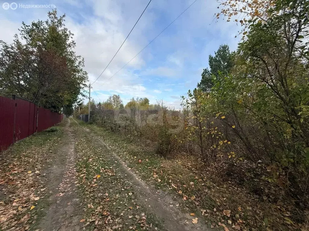 Участок в Курганская область, Кетовский муниципальный округ, село ... - Фото 1