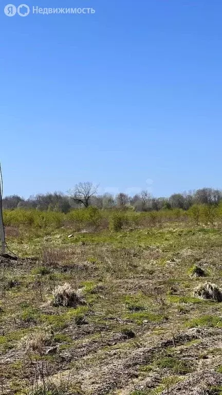 Участок в Калининградская область, Зеленоградский муниципальный округ, ... - Фото 2
