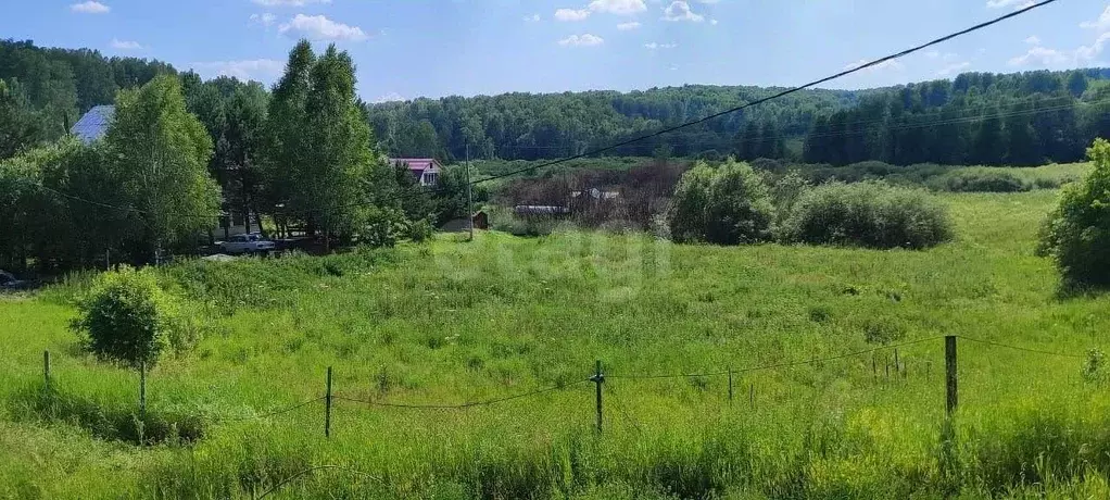 Участок в Кемеровская область, Кемеровский муниципальный округ, д. ... - Фото 1
