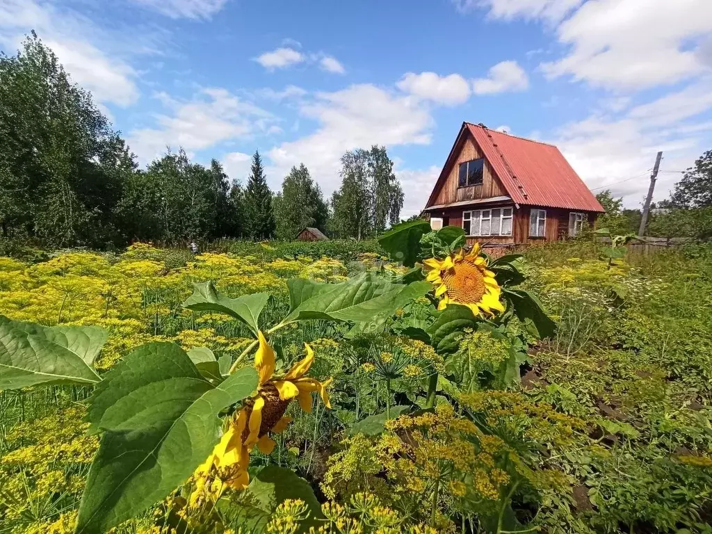 Дом в Тюменская область, Тюменский район, Лесник-2 СНТ  (84 м) - Фото 0