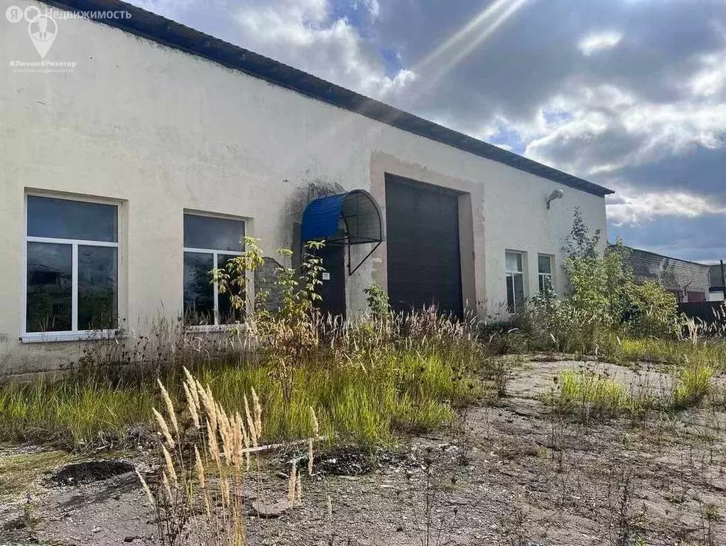 Помещение свободного назначения (61 м) - Фото 1