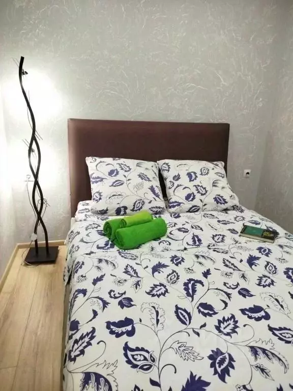 2-к кв. Псковская область, Псков Гражданская ул., 11Б (46.0 м) - Фото 2