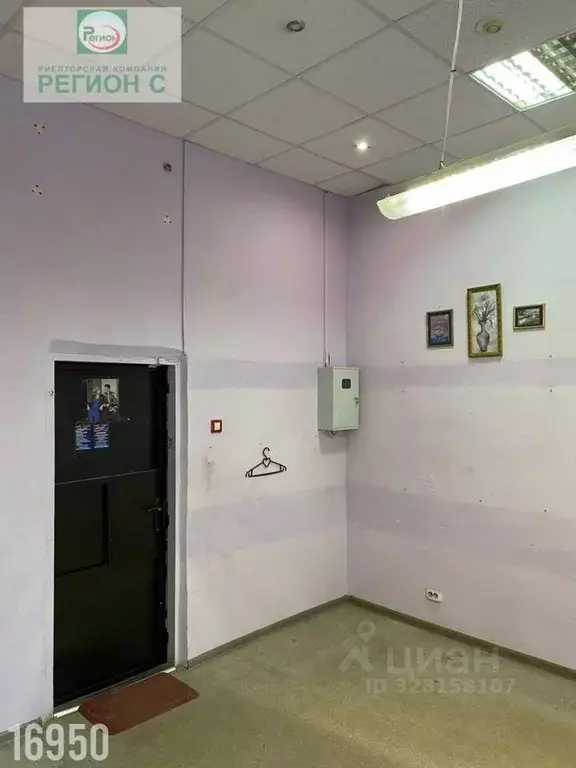 Помещение свободного назначения в Архангельская область, Архангельск ... - Фото 1