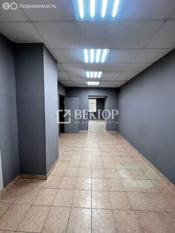 Офис (42.9 м) - Фото 2