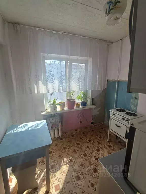 2-к кв. Красноярский край, Емельяновский муниципальный округ, Кедровый ... - Фото 1