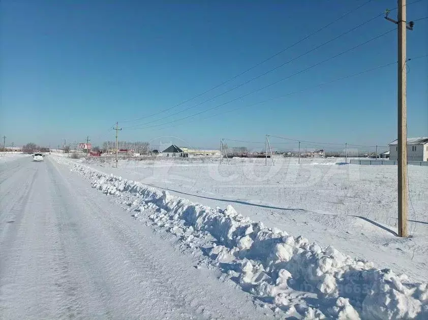 Участок в Тюменская область, Тюменский район, с. Чикча  (8.0 сот.) - Фото 0