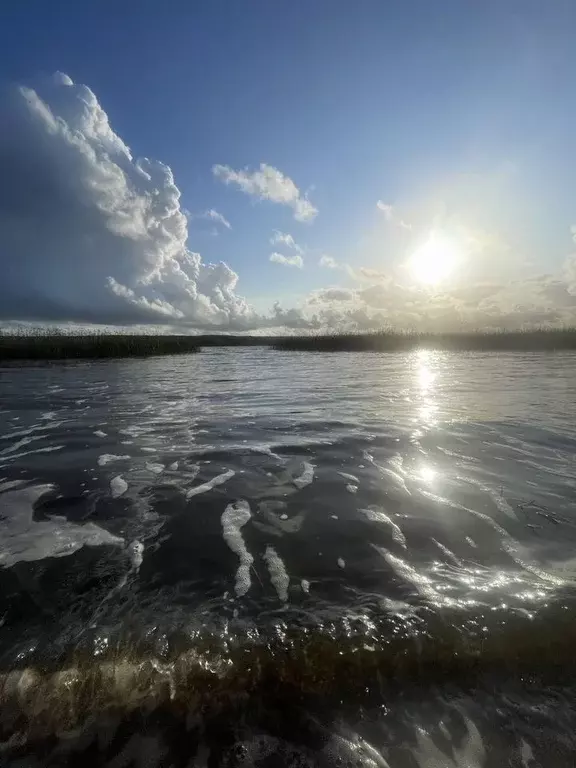 Участок в Ленинградская область, Выборгский район, Полянское с/пос, ... - Фото 1