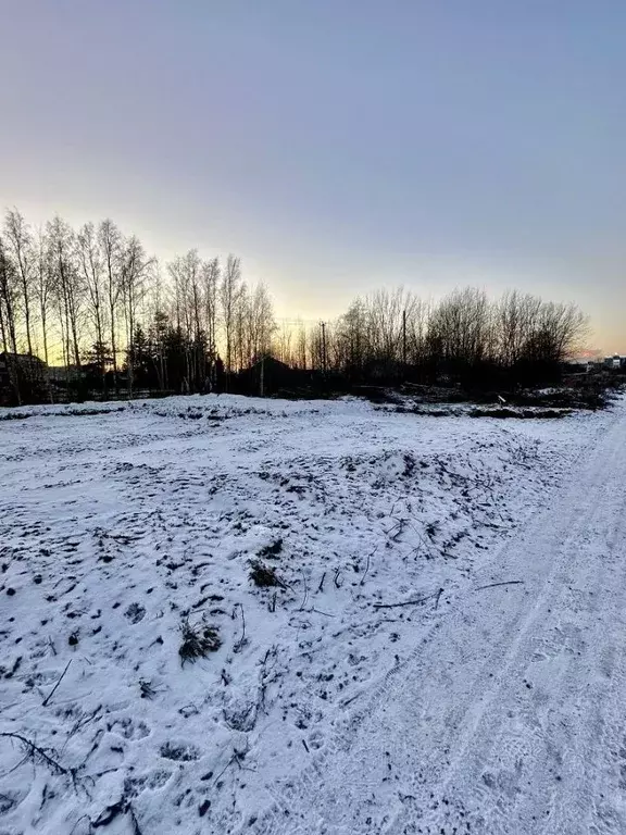 Участок в Ленинградская область, Всеволожский район, Колтушское ... - Фото 0