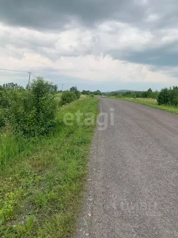 Участок в Алтай, Майминский район, с. Подгорное ул. Заречная (12.0 ... - Фото 0