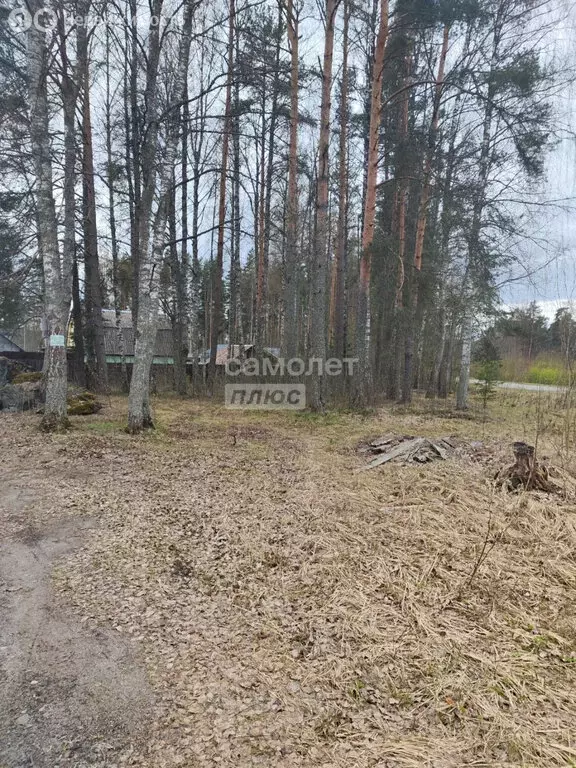 Участок в Каменногорск, 2-я Набережная улица (12 м) - Фото 0