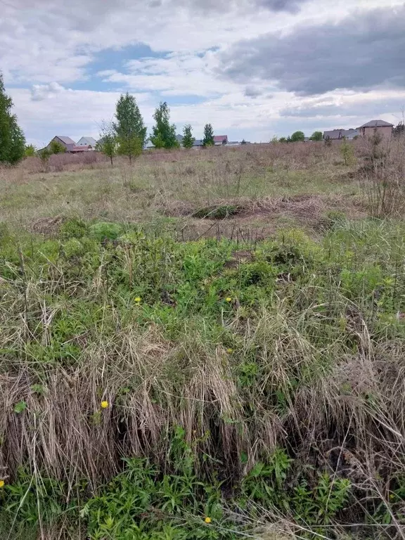 Участок в Пензенская область, Бессоновский район, с. Чемодановка ул. ... - Фото 0