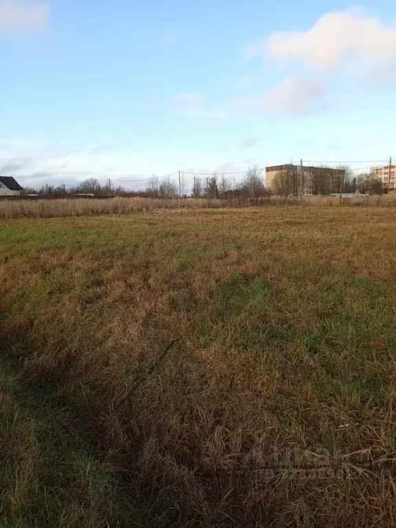 Участок в Ленинградская область, Гатчинский муниципальный округ, пос. ... - Фото 2