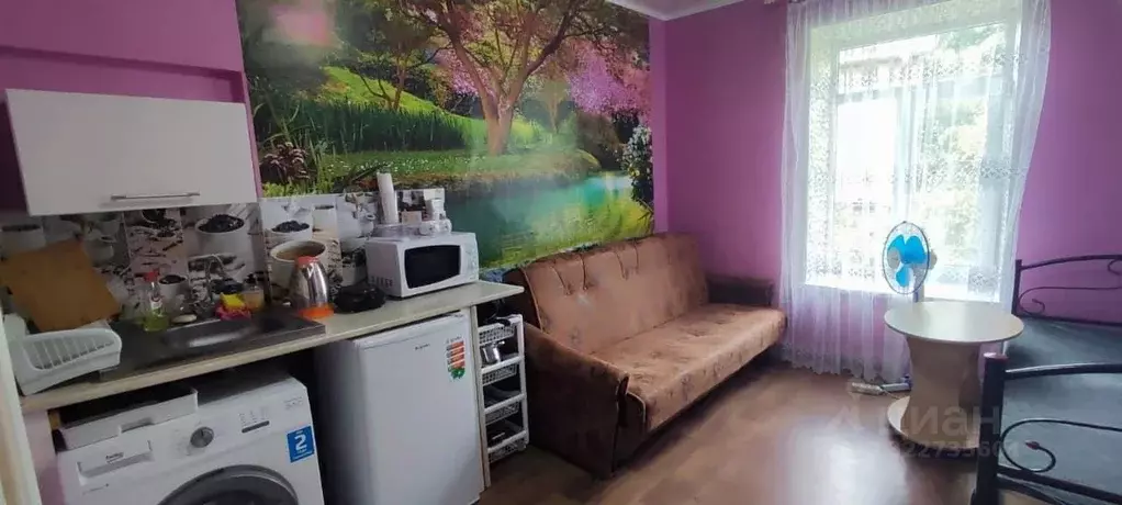 Студия Крым, Алупка ул. Имени Розы Люксембург, 30 (16.2 м) - Фото 1