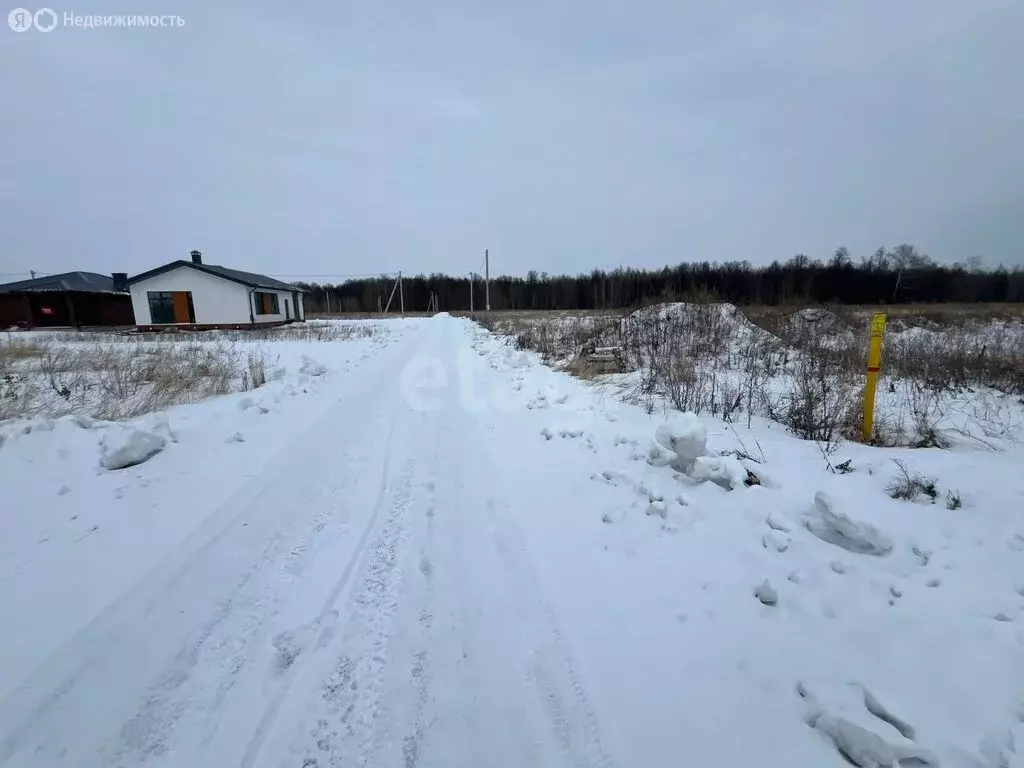 Участок в Лаишевский район, Егорьевское сельское поселение, деревня ... - Фото 0