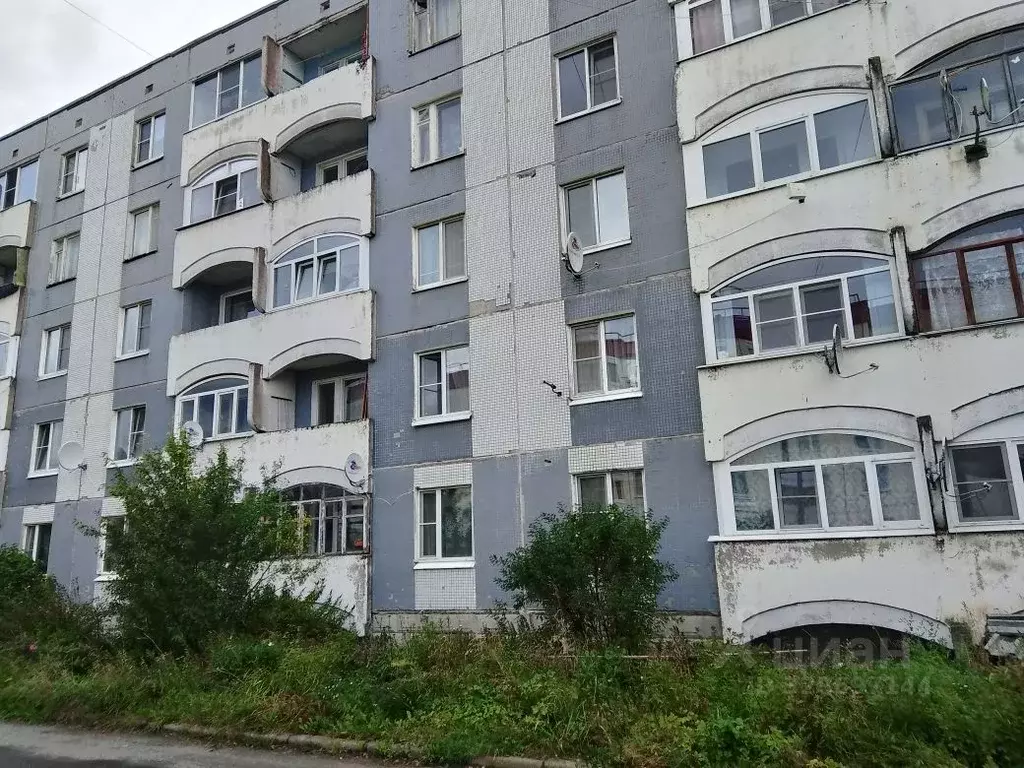 2-к кв. Ленинградская область, Гатчинский муниципальный округ, д. ... - Фото 2