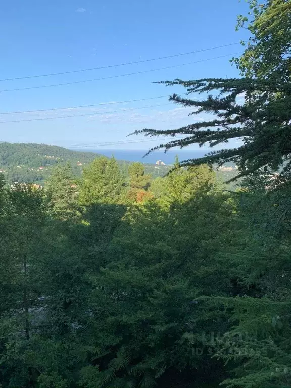 Дом в Краснодарский край, Сочи городской округ, с. Сергей-Поле ул. ... - Фото 2