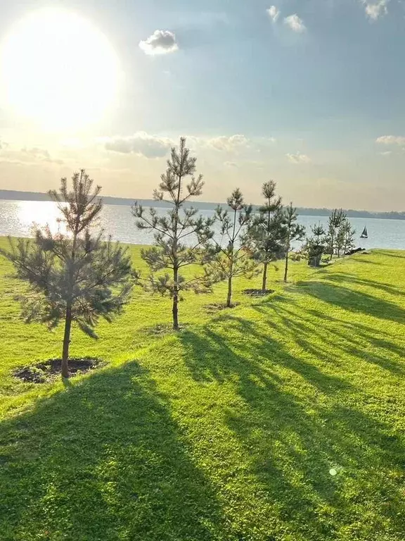 Участок 6 сот. (СНТ, ДНП) - Фото 0