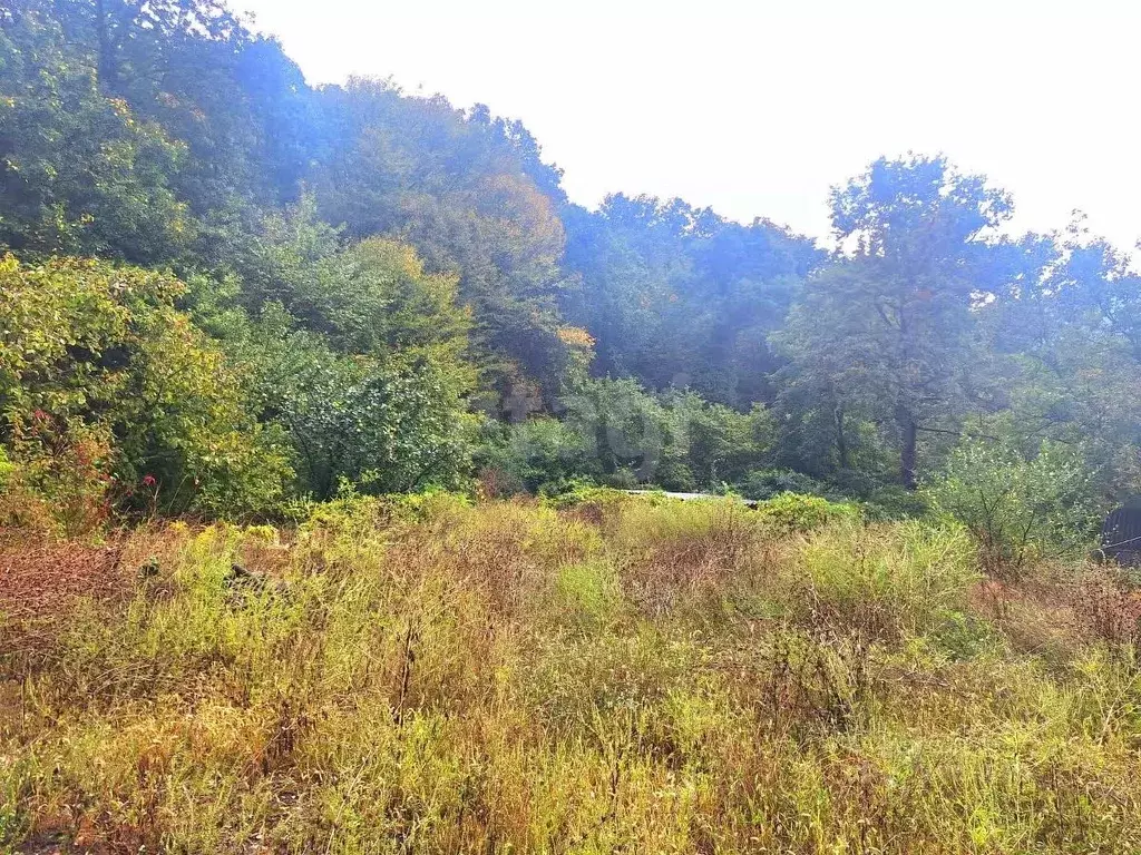 Участок в Краснодарский край, Геленджик городской округ, с. ... - Фото 1